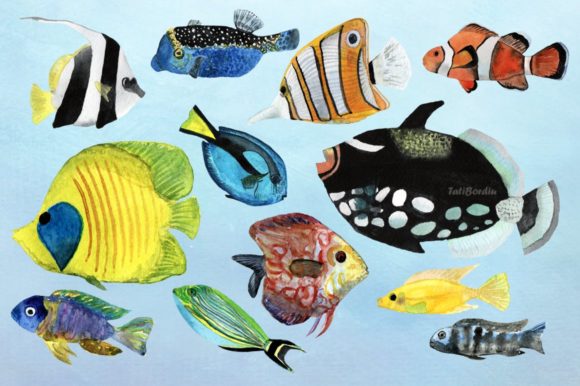 12 Watercolor Tropical Fish Clip Arts and Illustrations