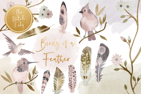 Birds Feathers Clipart Set for Illustrations