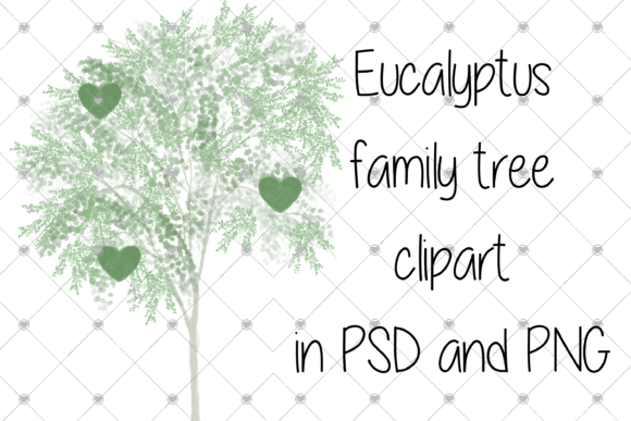 Family Tree Clipart, Eucalyptus Tree, Illustrations