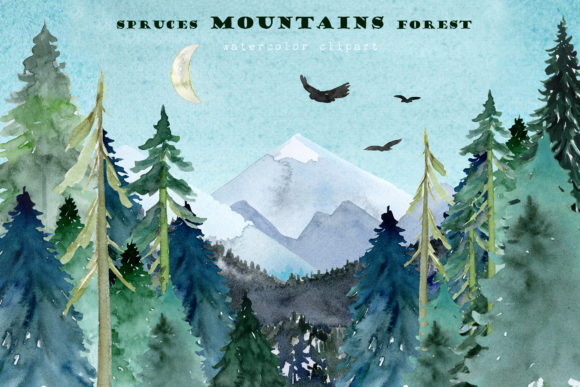 Mountains Spruces Forest Watercolors Illustrations