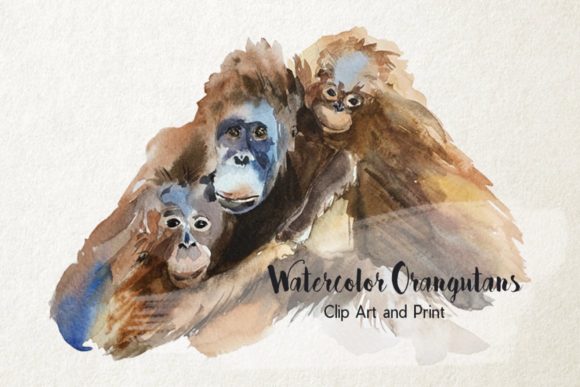 Orangutan’s Family Clip Art Print & Illustrations