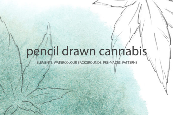 Pencil Drawn Cannabis Illustrations