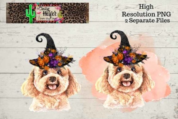 Poodle Halloween Witch PNG and Illustrations