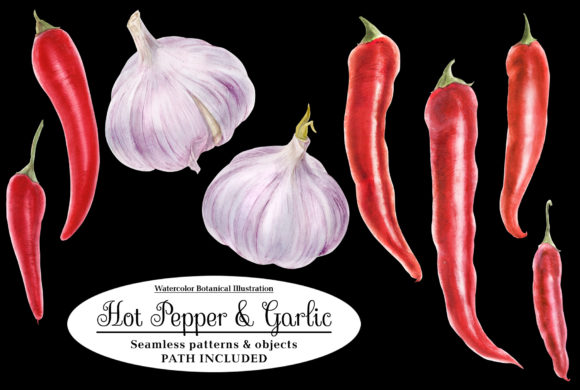 Red Hot Pepper and Garlic Illustrations
