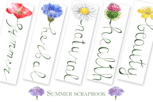 Summer Scrapbook Illustrations
