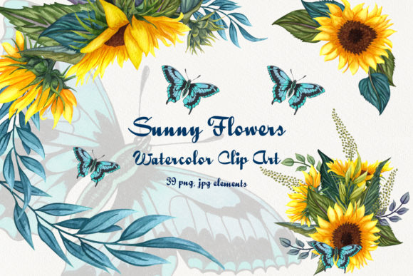 Sunflower Hand Drawn Set and Illustrations