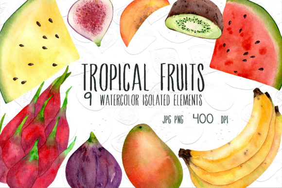 Tropical Fruits Illustrations