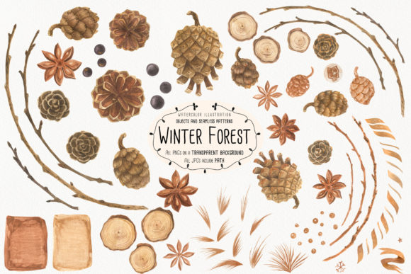 Winter Forest Illustrations